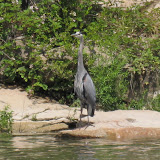 IMG_0489.JPG
