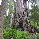 IMG_0556.JPG