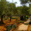 garden of gethsemane.