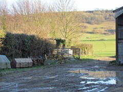 IMG_0080