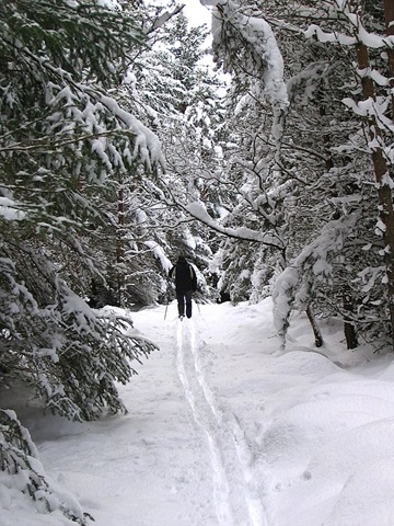 [ski1[14].jpg]