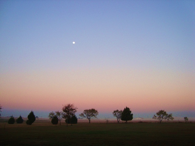 DSC01393