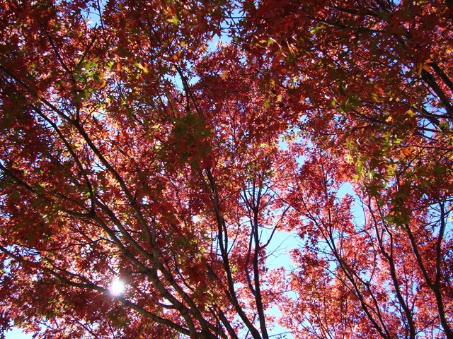 DSC01363