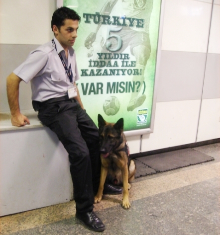 bir polis ve yanında bir polis köpeği
