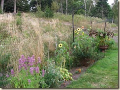IMG_9542 IMG_9542