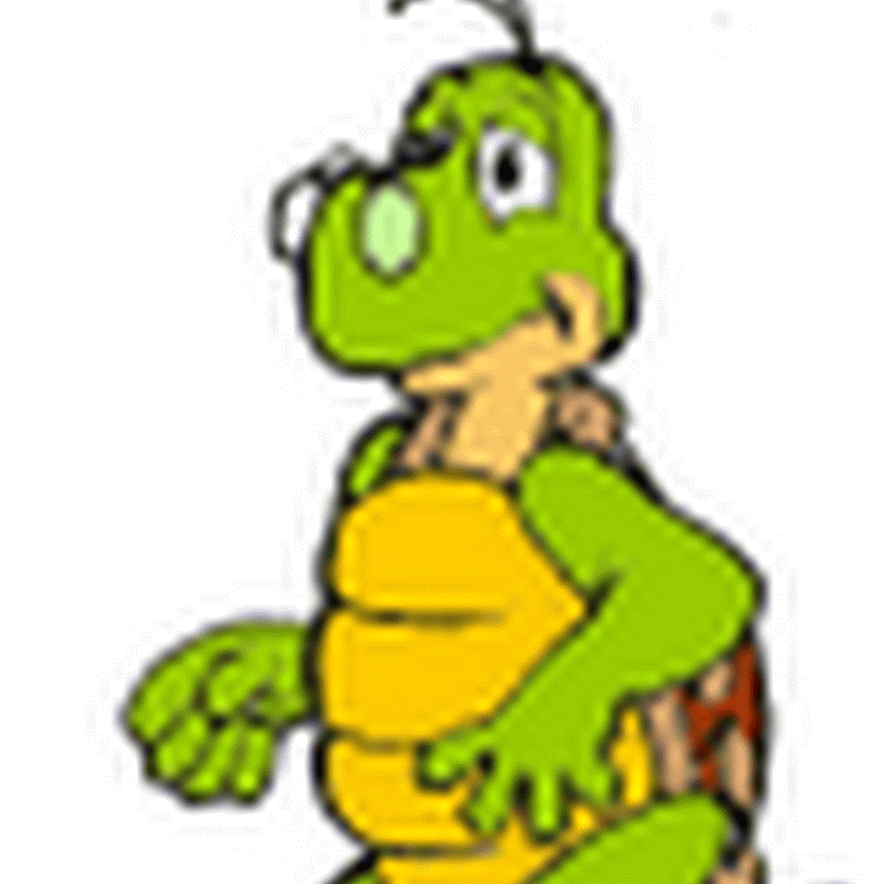 pequeños gis de tortugas