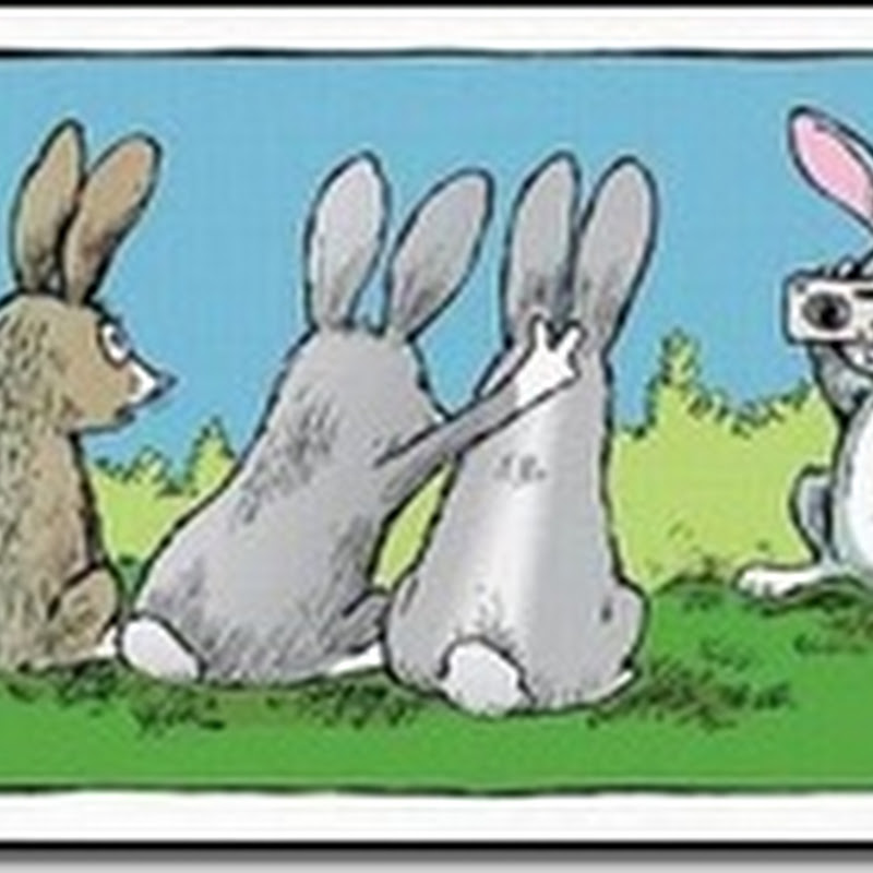humor gráfico conejos juguetones