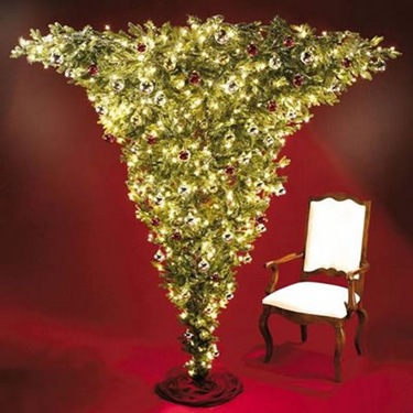 arbol -1 (3)