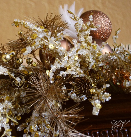 [DSC_0123 (2)[19].jpg]
