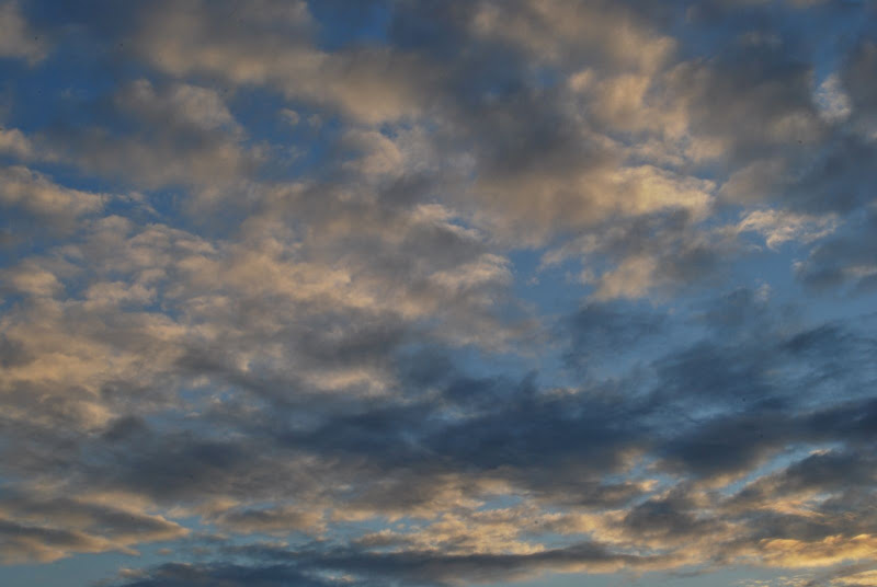 Clouds_5481.jpg
