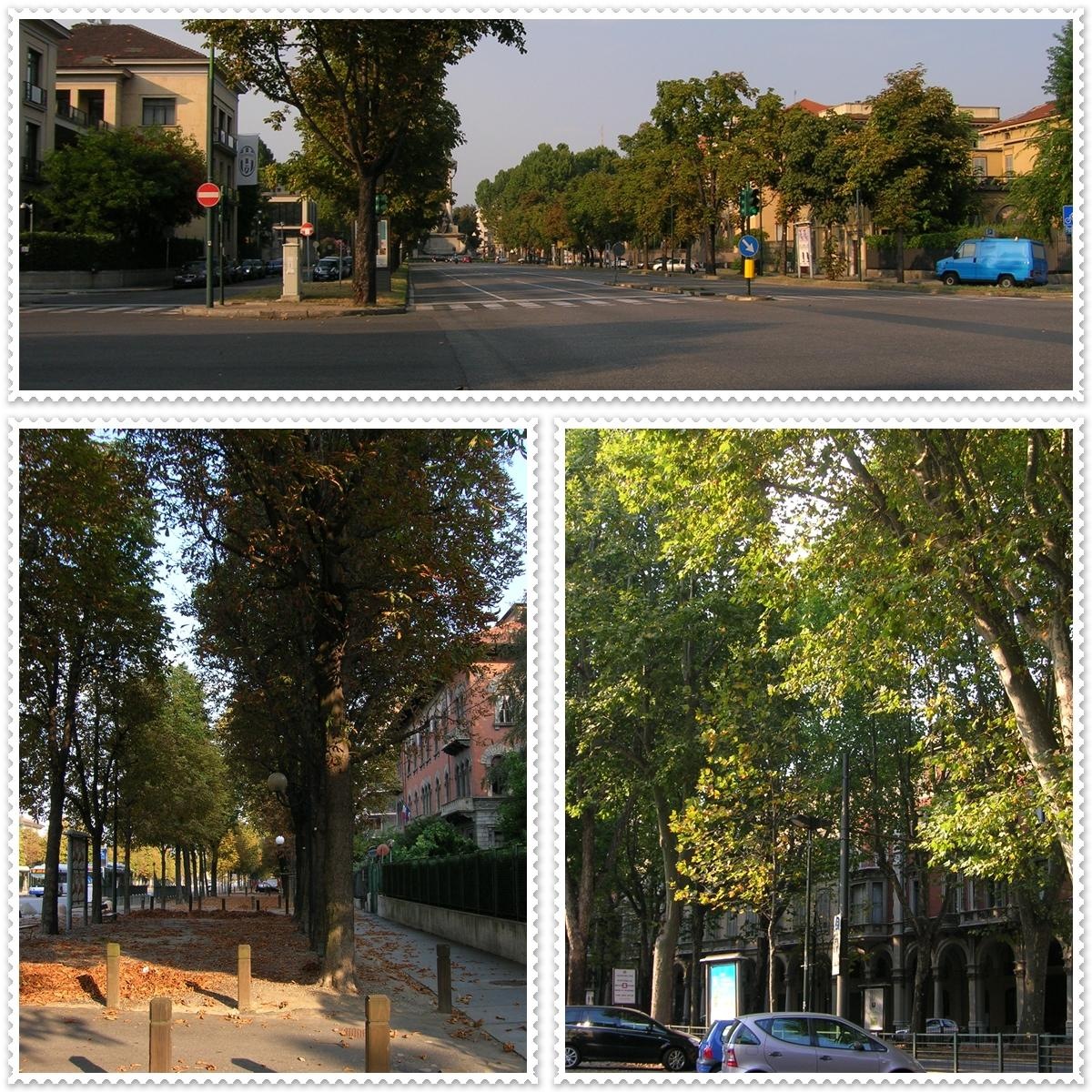 [turinp6.jpg]