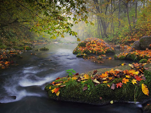 bruno rezende, coluna zero, fotografia, photo, foto, Photo fo the Day, natgeo, national geographic