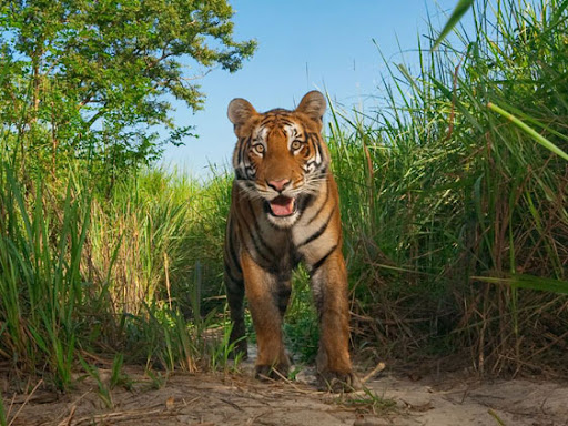 bruno rezende, coluna zero, fotografia, photo, foto, Photo fo the Day, natgeo, national geographic