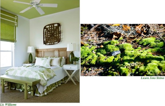 [Liz Williams Bdrm Moss2[5].jpg]