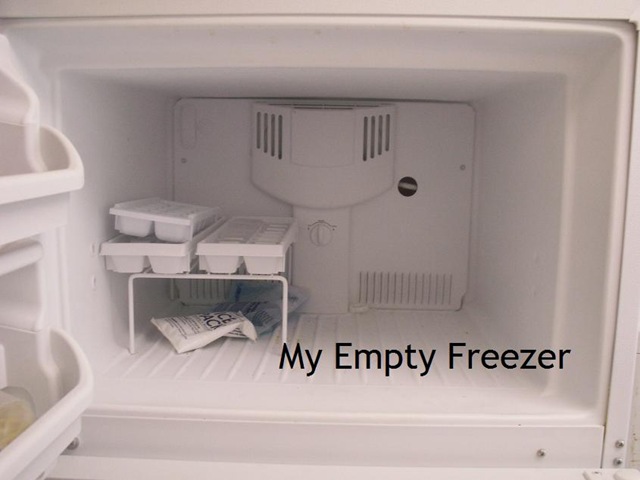 [Empty freezer[6].jpg]