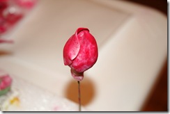 sugarpasterose 026 sugarpasterose 026
