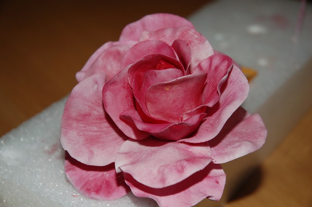 [sugarpasterose_201.jpg]