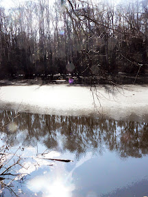 Congaree Swamp