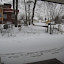 My back door view.  I prefer my view to my unlucky neighbors who have to look at my apartment instead.
