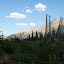 Mount Phillips