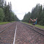 Freedom! Were back to civilization