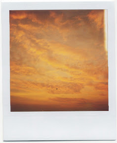 sun-set.jpg