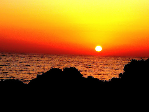 coucher de soleil jaune orange et rouge mer dorée et végétation en ombre chinoise Maroc