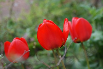 DSC00898