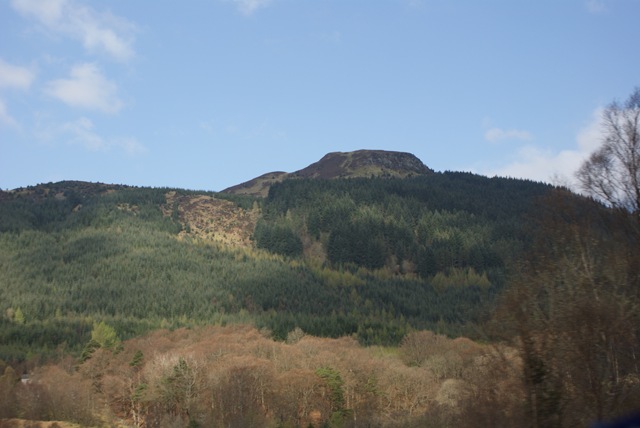 [DSC006962.jpg]