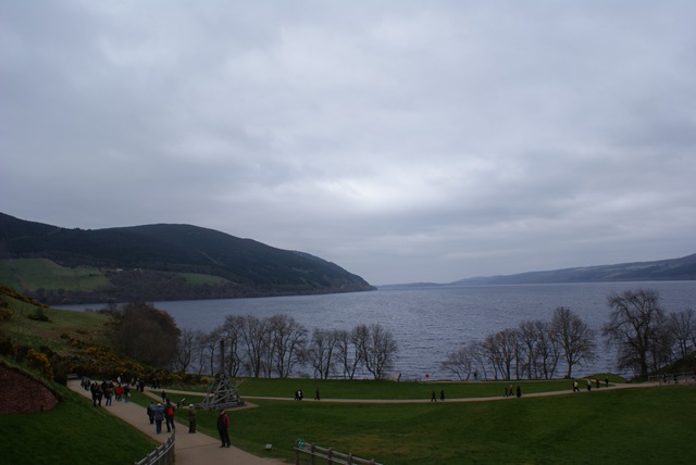 [DSC007692.jpg]