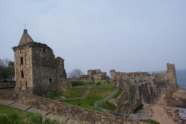 [DSC011142.jpg]