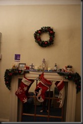 DSC07564