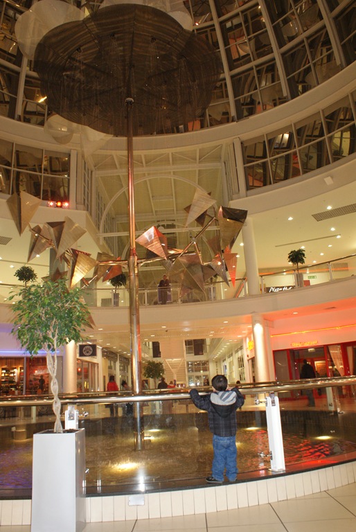 [DSC07778[3].jpg]