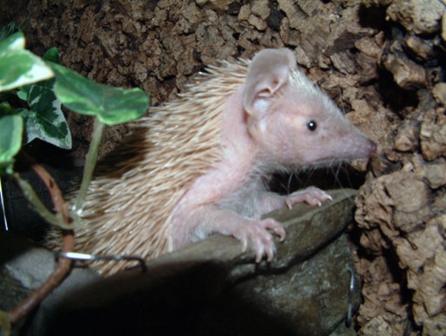 [Afbeelding0055.jpg]
