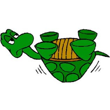 turtle