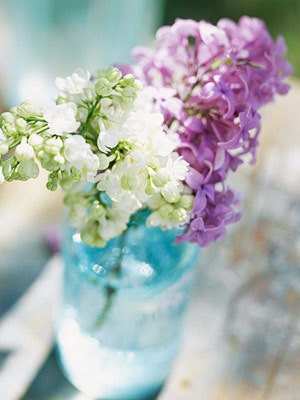 [midwestlilacs1[4].jpg]