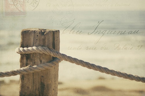 [ImagesByClaire 4220594648_1454f5e8fb[12].jpg]