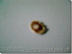 25052009