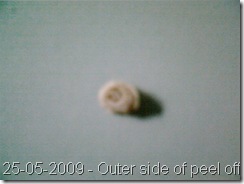 25052009(012)