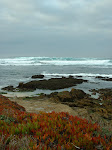 The Inns of Montery- Hotel Pacific, Monterey Bay Inn, Spindrift Inn and the Victorian Inn are within walking distance to beautiful areas along the bay and ocean.