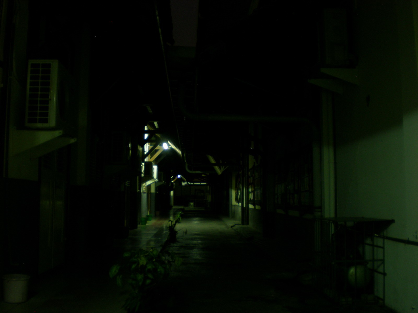 [SDGabrielMalam214.jpg]
