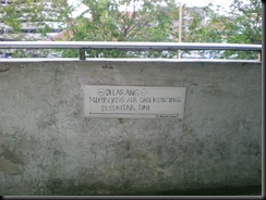 DSCN5536 DSCN5536