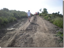 OC Trail Run hill