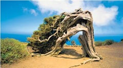 Energy Island