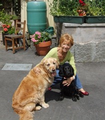 trustedhousesitters