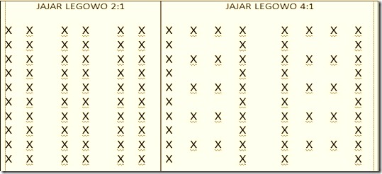 LEGOWO LEGOWO
