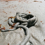 Sandpoo made by some sand dwelling creature