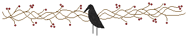 [divider08[3].gif]