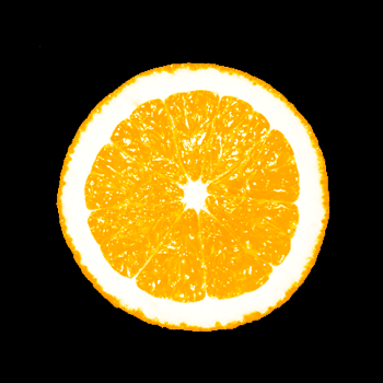 [orange-new[38].png]