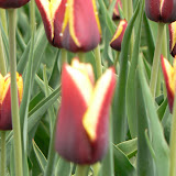  &ndash;  &ndash; 01-May-2010